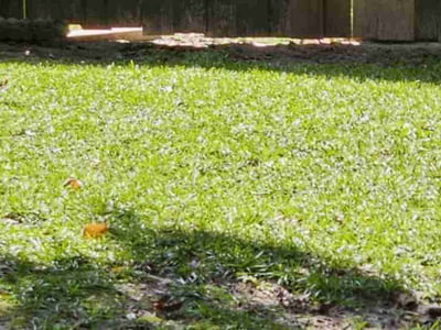 Lawn Care service in Mount Vernon, 98273