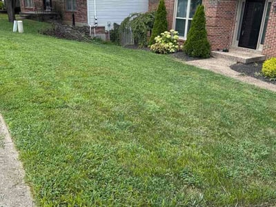 Lawn Care service in Cranberry Twp, 16066