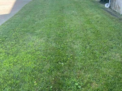 Lawn Care service in Pawtucket, 02860