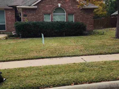 Lawn Care service in Albany, 97321