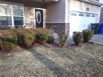Lawn Care service in Albany, 97321