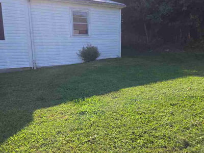 Lawn Care service in Danville, 24541