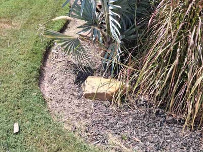 Lawn Care service in Oregon City, 97045