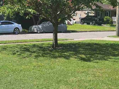 Lawn Care service in Danville, 24541