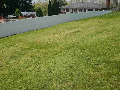 Lawn Care service in Allison Park, 15101