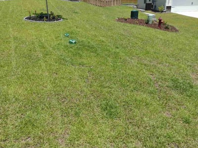 Lawn Care service in Lexington, 29072