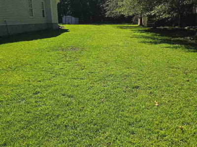 Lawn Care service in Calabash, 28467