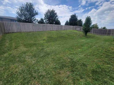 Lawn Care service in Carbondale, 62901