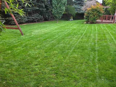 Lawn Care service in Battle Ground, 98604