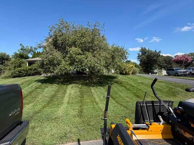 Lawn Care service in Middletown, 02842
