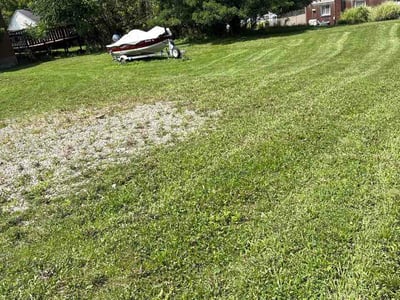 Lawn Care service in Ford City, 16226