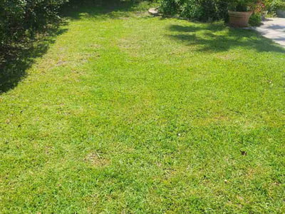 Lawn Care service in Sebring, 33870