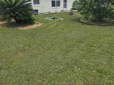 Lawn Care service in Sebring, 33870