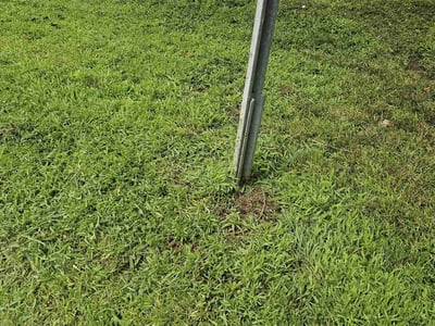 Lawn Care service in East Wenatchee, 98802