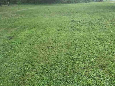 Lawn Care service in Bridgeton, 08302