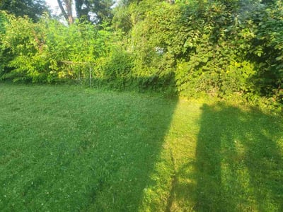 Lawn Care service in Columbia, 65201
