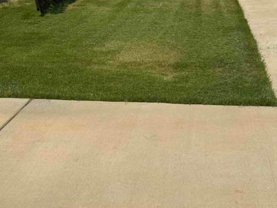 Lawn Care service in Anniston, 36201