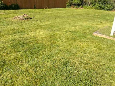 Lawn Care service in Grand Junction, 81501