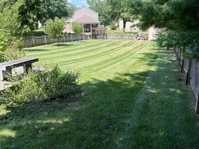 Lawn Care service in Belle Vernon, 15012