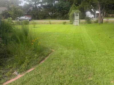 Lawn Care service in Loris, 29569