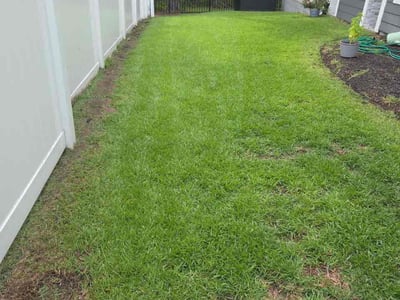 Lawn Care service in Loris, 29569