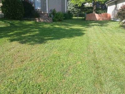 Lawn Care service in Bristol, 02809