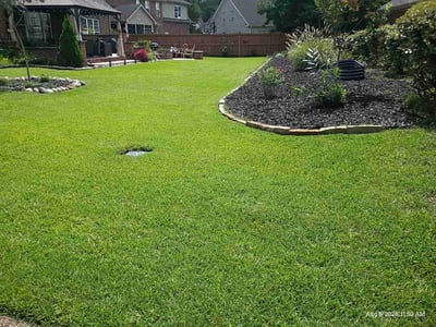 Lawn Care service in Southport, 28461