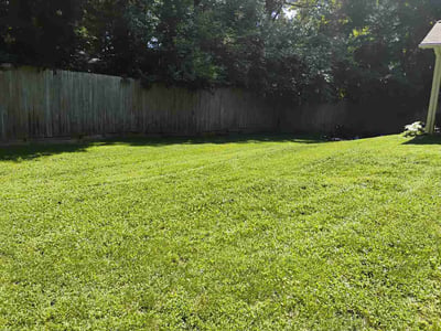Lawn Care service in Napa, 94559