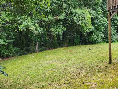Lawn Care service in Napa, 94559
