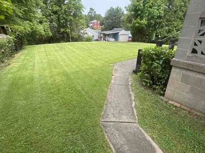 Lawn Care service in Bridgeville, 15017