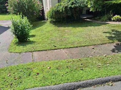 Lawn Care service in Clarks Summit, 18411