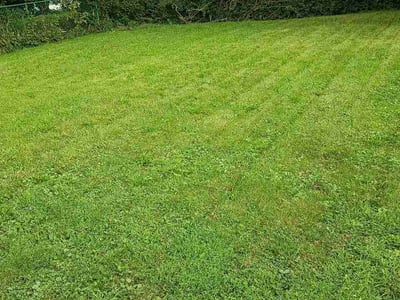 Lawn Care service in Bridgeville, 15017