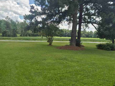 Lawn Care service in Shallotte, 28470