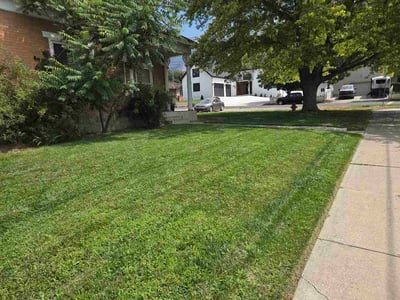 Lawn Care service in Orem, 84057