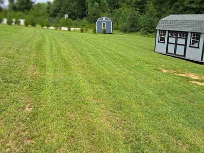 Lawn Care service in Shallotte, 28470