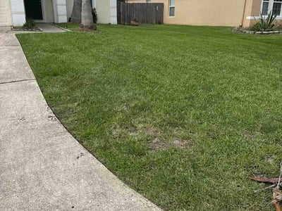 Lawn Care service in Satellite Beach, 32937