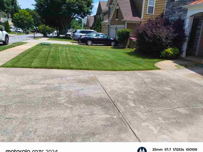 Lawn Care service in Hartselle, 35640
