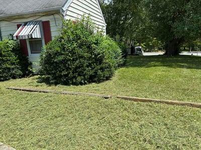 Lawn Care service in Burlington, 27215