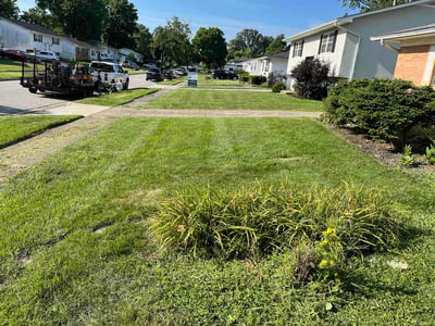 Lawn Care service in Beckley, 25813