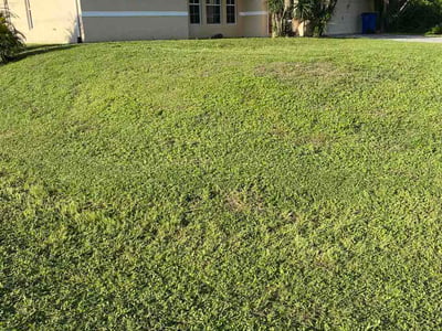 Lawn Care service in Watertown, 13601