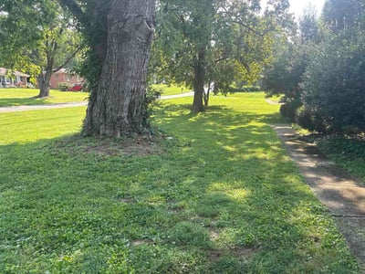 Lawn Care service in Madison, 37115