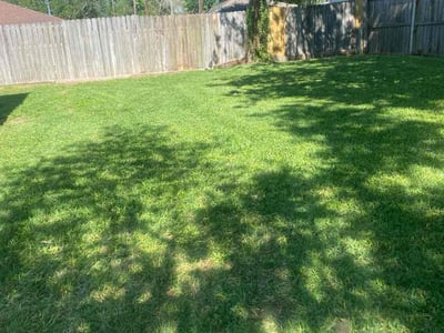 Lawn Care service in Gresham, 97030
