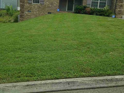Lawn Care service in Watertown, 13601