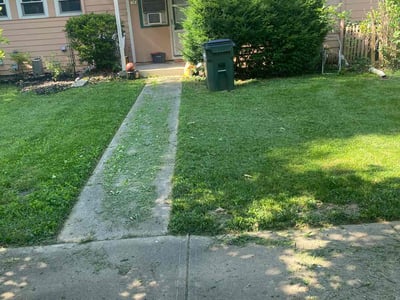 Lawn Care service in Valencia, 16059