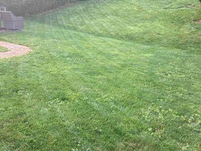 Lawn Care service in South Park, 15129