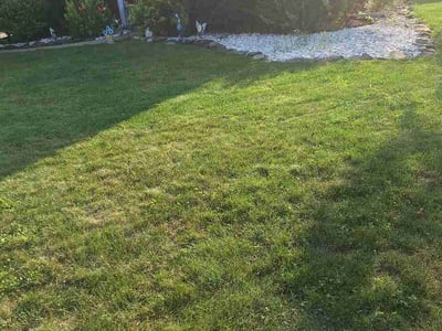 Lawn Care service in Steubenville, 43952