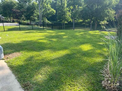 Lawn Care service in Chapin, 29036