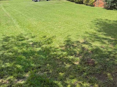 Lawn Care service in Greer, 29651