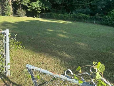 Lawn Care service in Opelika, 36801