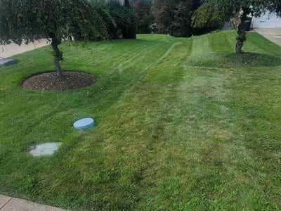 Lawn Care service in McKees Rocks, 15136